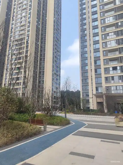 龙湖景粼天著横厅四房带车位近地铁近看房方便