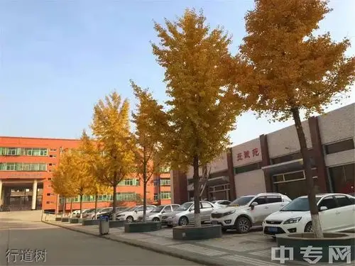 富平县立诚中学寝室图片,校园环境好吗?