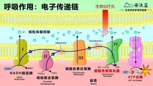 市场上卖的ok镜哺光仪哪一种对控制近视的效果更好