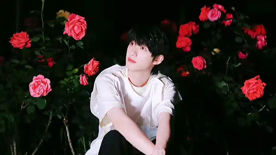 丁程鑫花儿与少年