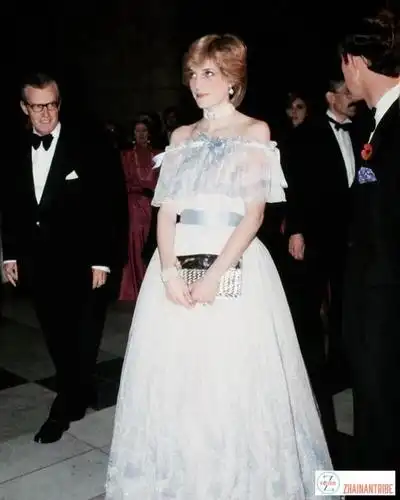 戴安娜最贵的一条裙子估值316万美元不及睡美人裙惊艳