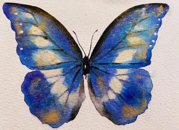 两只稍稍麻烦的蝴蝶er线稿