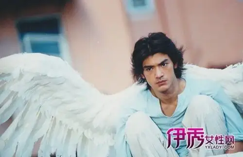 2001年,叶锦鸿执导的电影《薰衣草》,金城武是一位误坠凡间的天使.