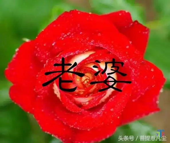 老婆大人你辛苦了