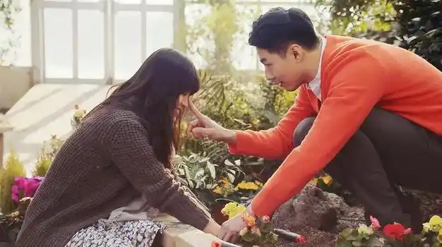 6,绝了!|赵寅成|宋慧乔