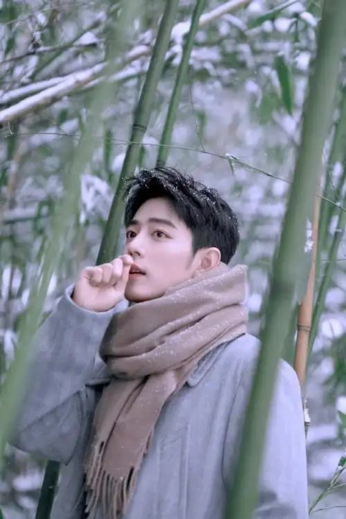 肖战##肖战冬至竹林大片