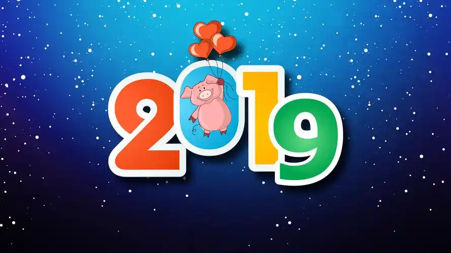 壁纸 新年快乐2019年,猪,爱心,雪花,蓝色背景