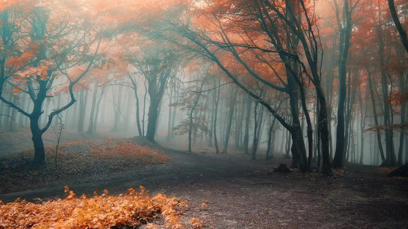 > 高清唯美win 8宽屏风景图片电脑桌面壁纸(1920x1080)