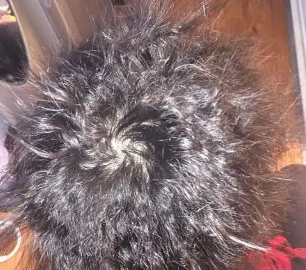 别再弄锡纸烫了看看他们你就知道了除非你长得像易烊千玺