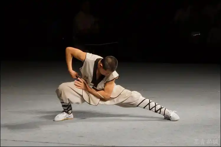 (原摄)少林武功