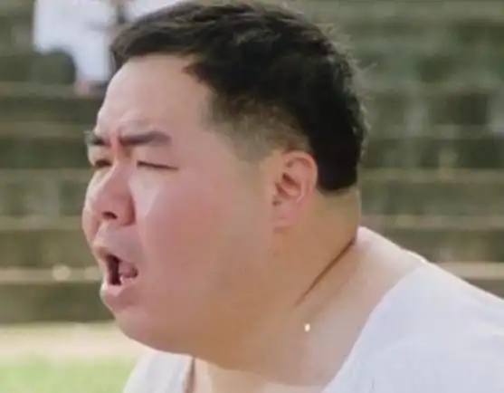 肥猫流浪记feimaoliulangji(1988)