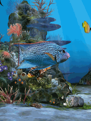 308_409竖版 竖屏gif 动态图 动图