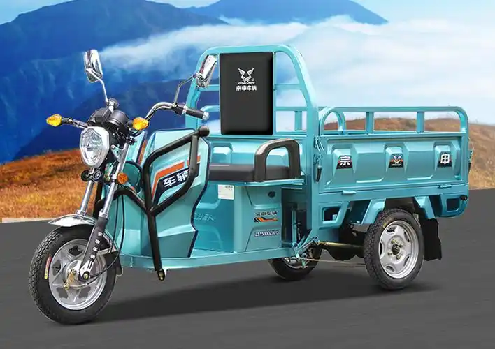 来自一家公司,而宗申也是电动车行业的全能型品牌,在电动三轮车领域