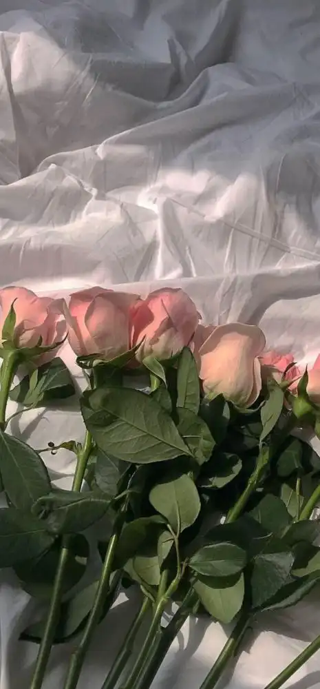 港风复古背景图风壁纸,复古港风壁纸风景-图片大观-奇异网