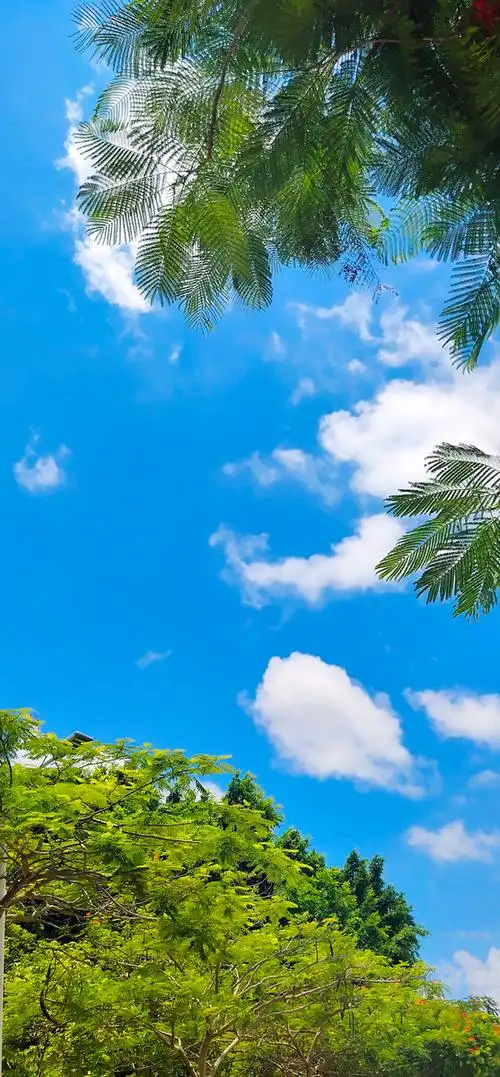 天空是蔚蓝色你在想些什么