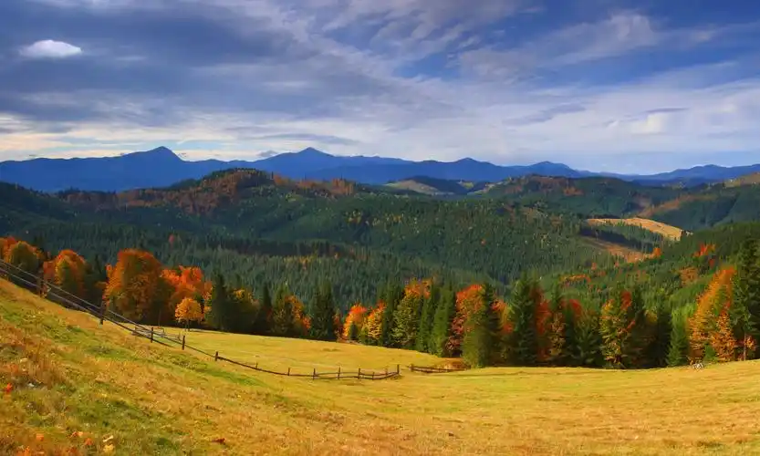 乌克兰,山,森林,秋季,草甸,风景摄影,外喀尔巴阡州,大自然,照片,1920x