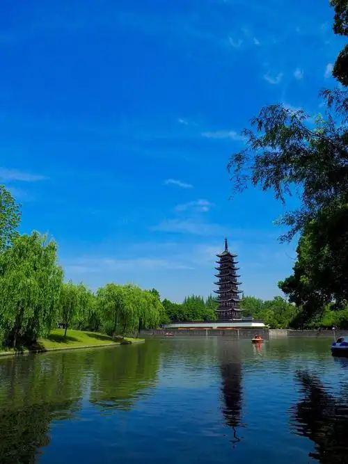 上海市松江区中山东路233