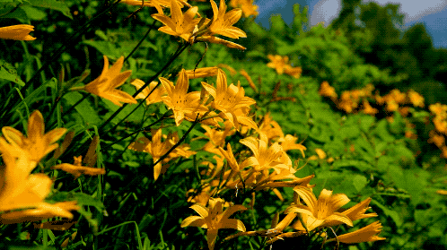 大自然赐予汕尾的不只是美,还有自然的美味!