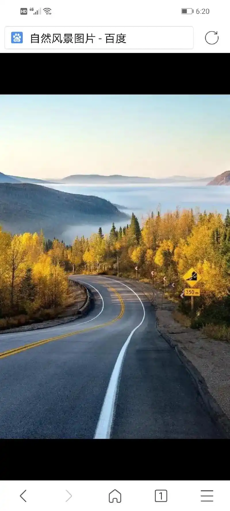 6:20自然风景图片-百度350m花海的图片风景竖屏-百度小 - 抖音