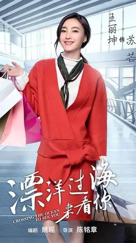 漂洋过海来看你海报