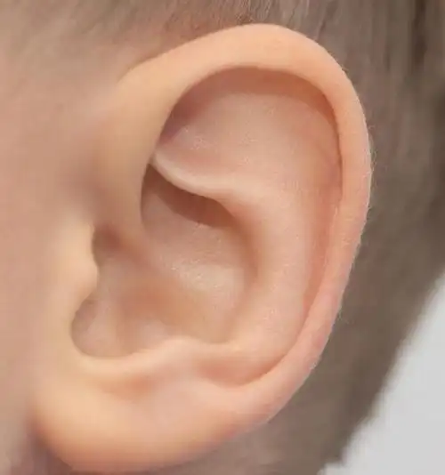 不论男女,耳朵出现3种变化,是肾功能不好,两件事再喜欢也得忍|蒲公英|