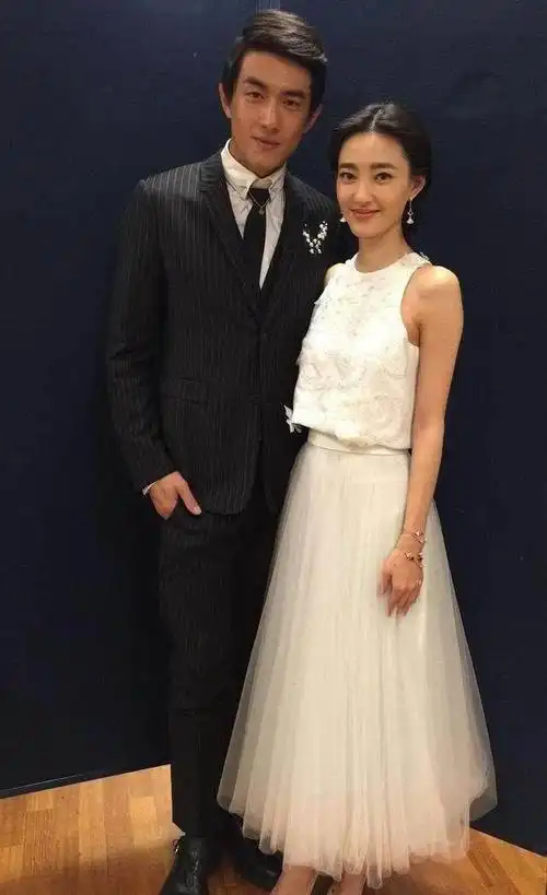 富豪老公破产退圈女星:董卿节目停掉,王丽坤无戏拍安以轩带孩子