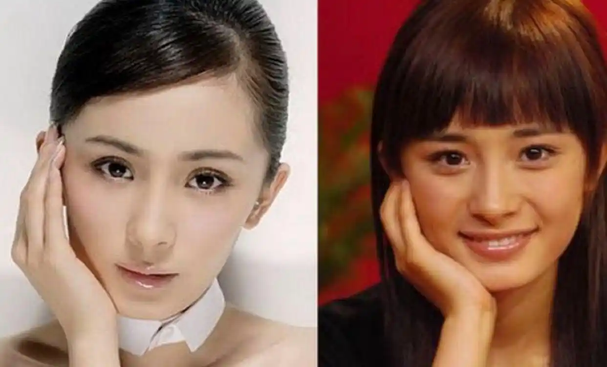 杨幂的脸很怪异,从鼻子到嘴巴都长得好奇怪.