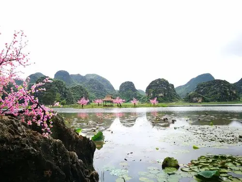 青龙山三生三世十里桃花情人桥