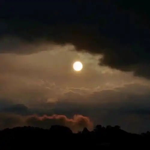 深夜发的伤感文案