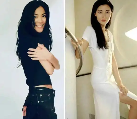 王菲虽没李嘉欣那么美,但王菲有一双美腿,在娱乐圈里是数一数二_义务