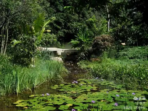 美丽的后花园湿地公园