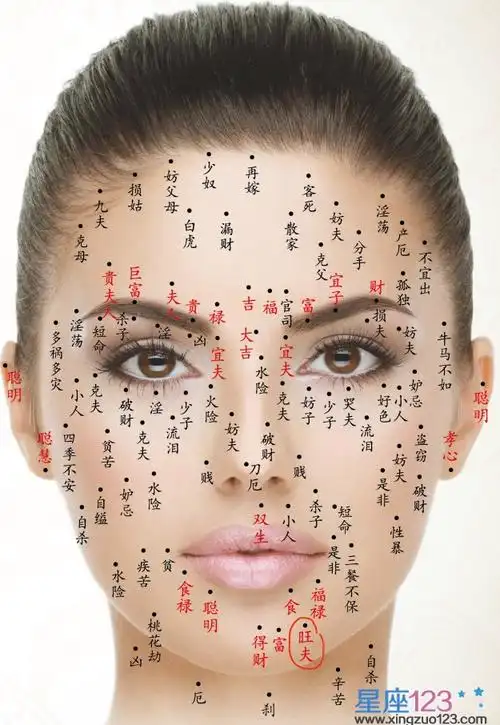 瞎搜了搜 文晨辛的痣旺夫