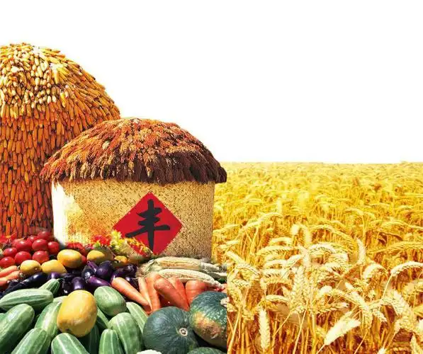 "五谷丰登·欢乐金秋"——玉门市饮马农场首届丰收节邀您共赴一场秋之