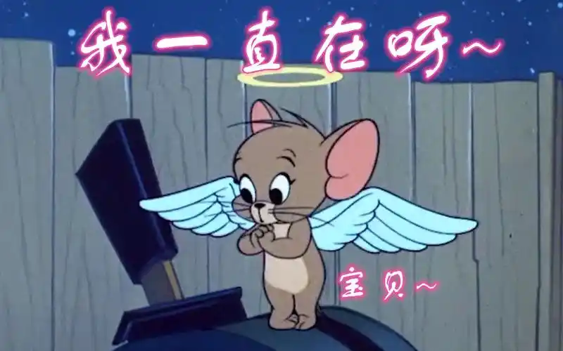 感动温暖猫和老鼠终于等到你我的杰瑞