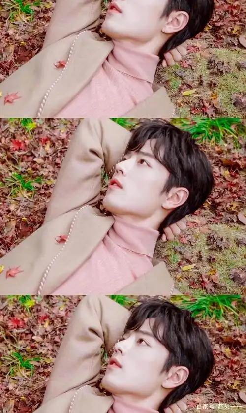 肖战,神仙般的颜值,简直让人无法自拔!