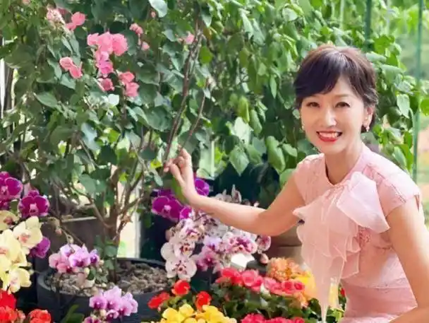 虽然人比花娇,可赵雅芝的这组照片却闹出了笑话,其实这并不是赵雅芝的