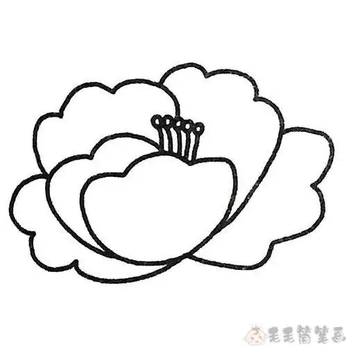牡丹简笔画 送给妈妈的礼物富贵牡丹花简笔画图片牡丹花简笔画怎么画
