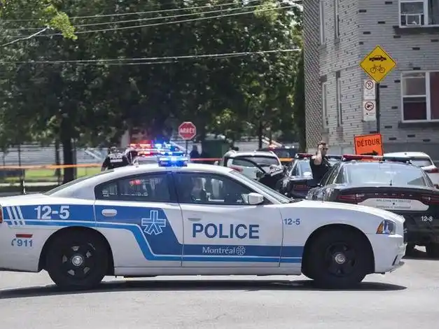 汽车被盗猖獗期间加拿大执法部门在蒙特利尔港查获17辆被盗豪车