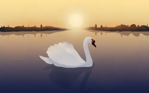 天鹅|插画|插画习作|维维豆奶xq - 原创作品 - 站酷 (zcool)