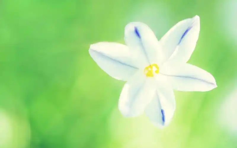 小清新简约背景,高清图片-壁纸族