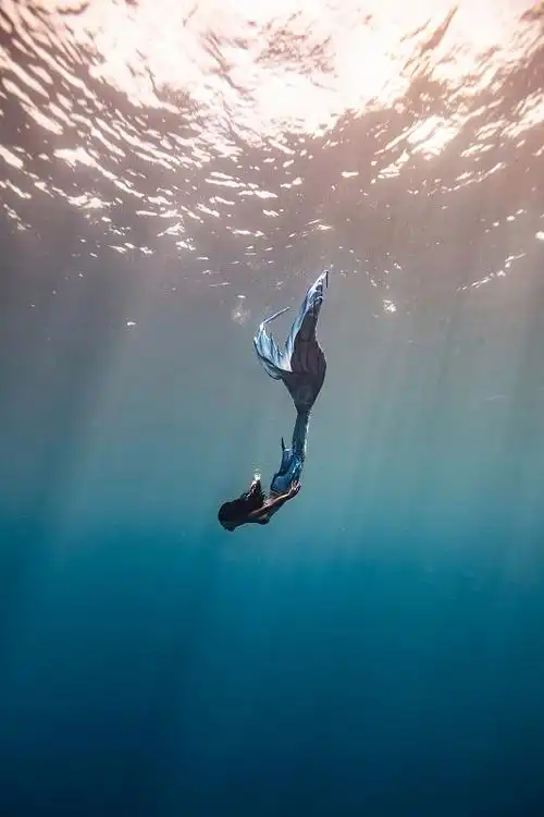 潜水的女人像美人鱼图片素材