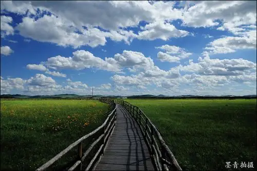 (原摄)河北张家口10-沽源-五花草甸