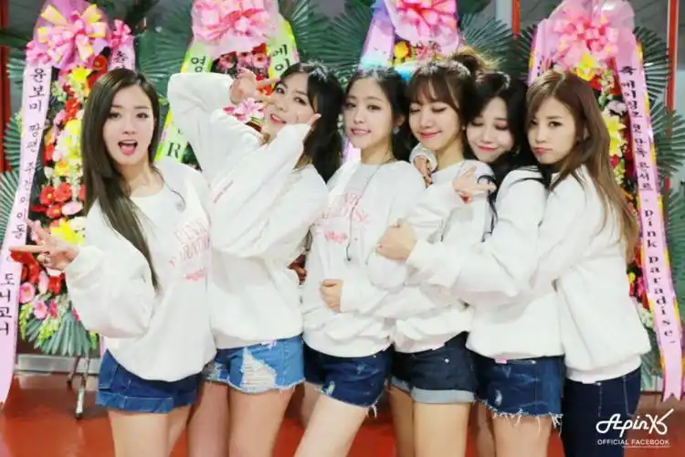 apink朴初珑尹普美郑恩地孙娜恩金南珠吴夏荣