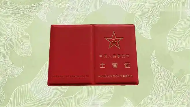 中国人民解放军士官证:役士官的身份证明-军事视频-搜狐视频