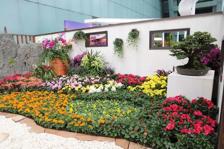 南岸区参加首届长江上游花卉艺术博览会获得1金2银3铜的好成绩