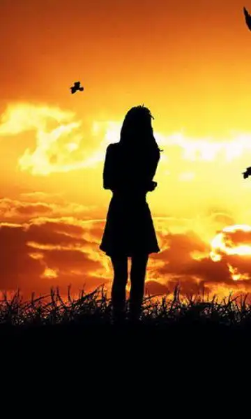 求一张图片,黄昏的背景,然后有人,人只是一个黑影的那种,谁有给我一张