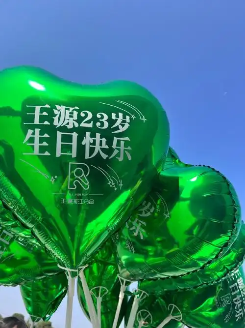 王源23岁且放青山远