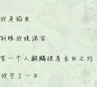 你好,我是稻米.盗墓笔记的稻米.南派三叔的稻米.