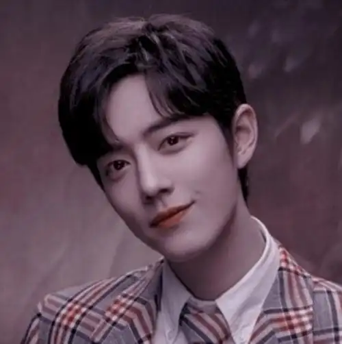 肖战自调滤镜头像