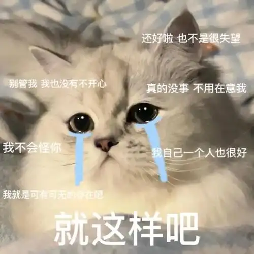 在意我我不会怪你我自己一个人也很好我就是可有可无的存在吧就这样吧